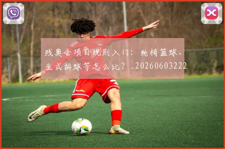 残奥会项目规则入门:轮椅篮球、坐式排球等怎么比?_20260603222626