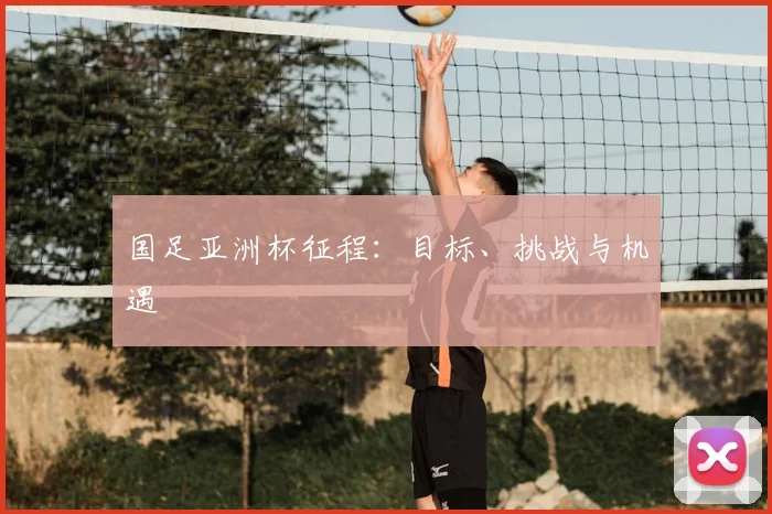 国足亚洲杯征程:目标、挑战与机遇