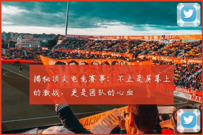 揭秘顶尖电竞赛事:不止是屏幕上的激战,更是团队的心血